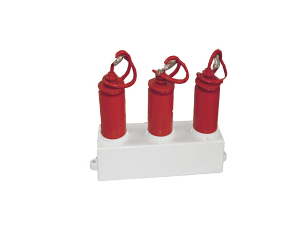 过电压保护器（带串联间隙氧化锌避雷器） 高能容型